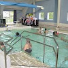 Svømmehallen holder åbent i uge 29, 30 og 31